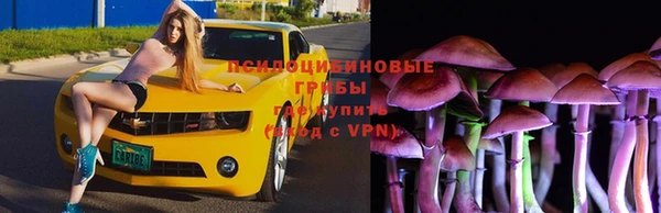 эйфоретик Медногорск