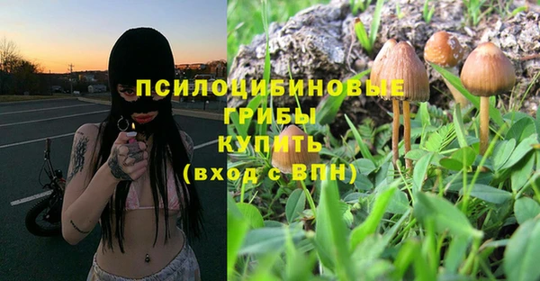 эйфоретик Медногорск