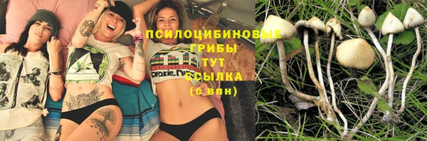 прущие крисы Магас