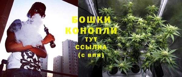 прущие крисы Магас