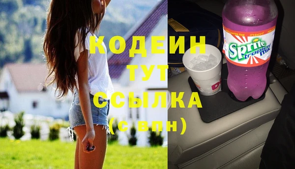 дмт Мегион